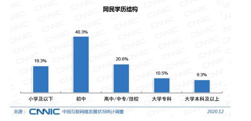 第47次中国互联网发展报告核心数据解析与考研答题要点